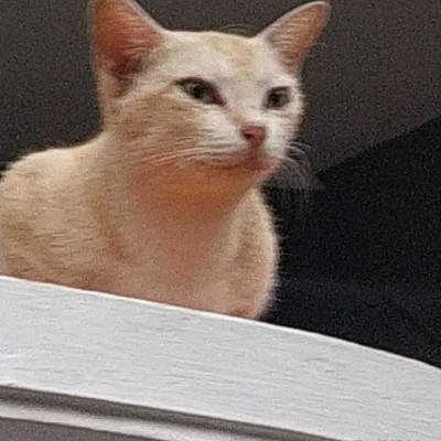 my peeps DODDAIAH . E ಬೆಂಗಳೂರು post image