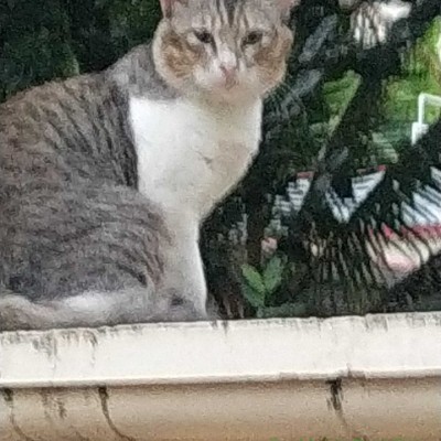 my peeps DODDAIAH . E ಬೆಂಗಳೂರು post image