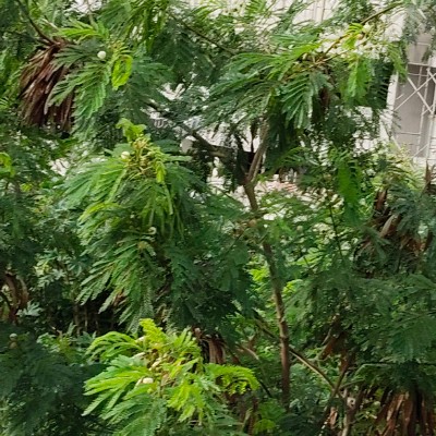 LGBTQ+ DODDAIAH . E ಬೆಂಗಳೂರು post image