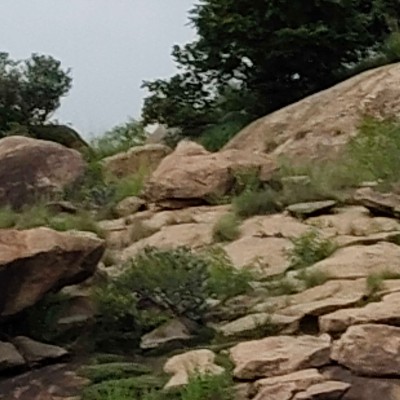 Liberal Pacers Islamabad DODDAIAH . E ಬೆಂಗಳೂರು post image