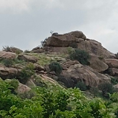 Liberal Pacers Islamabad DODDAIAH . E ಬೆಂಗಳೂರು post image