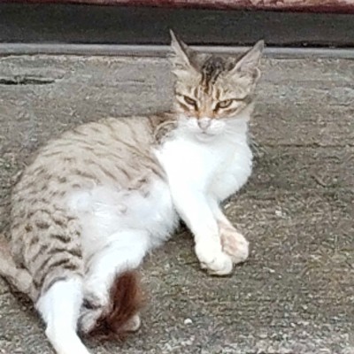 Walk and earn DODDAIAH . E ಬೆಂಗಳೂರು post image