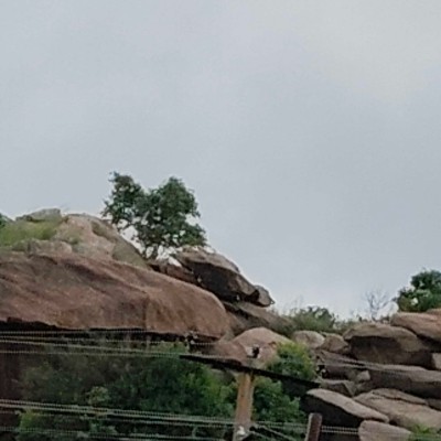 Heidelberg....🚀 DODDAIAH . E ಬೆಂಗಳೂರು post image