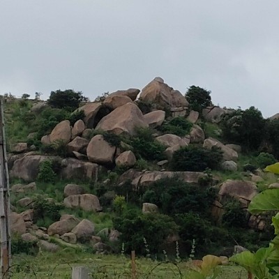 ДМЛ DODDAIAH . E ಬೆಂಗಳೂರು post image