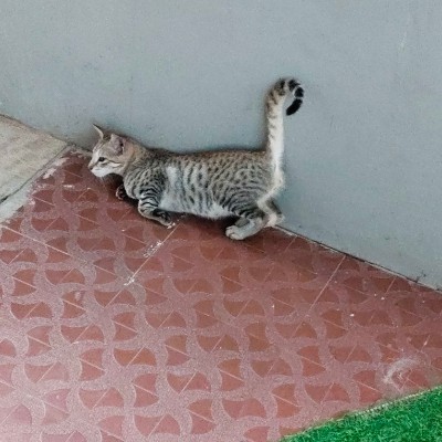 ☆ Liberté ☆ DODDAIAH . E ಬೆಂಗಳೂರು post image