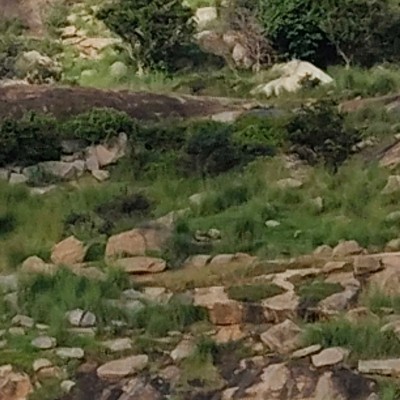 LAHORE🌹Get Fit🌹 DODDAIAH . E ಬೆಂಗಳೂರು post image