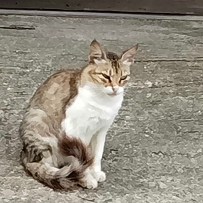 ☆ Liberté ☆ DODDAIAH . E ಬೆಂಗಳೂರು post image