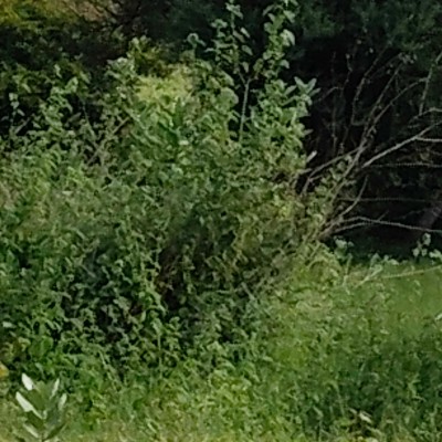 Punjabi-American Fitness Group DODDAIAH . E ಬೆಂಗಳೂರು post image