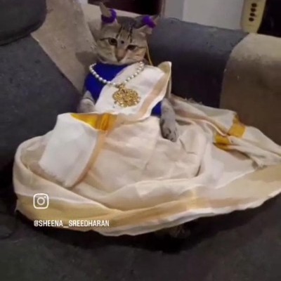 cochin fitness freaks DODDAIAH . E ಬೆಂಗಳೂರು post image