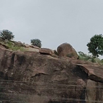 Heidelberg....🚀 DODDAIAH . E ಬೆಂಗಳೂರು post image