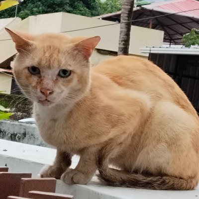 Walk and earn DODDAIAH . E ಬೆಂಗಳೂರು post image