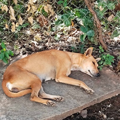 ☆ Liberté ☆ DODDAIAH . E ಬೆಂಗಳೂರು post image