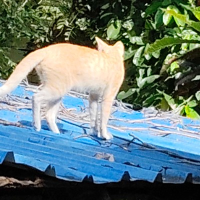 Walk and earn DODDAIAH . E ಬೆಂಗಳೂರು post image