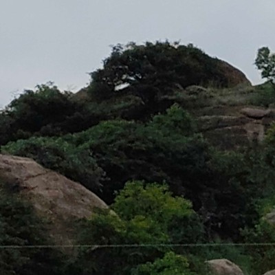 Os sem preguiça (The lazyless guys) DODDAIAH . E ಬೆಂಗಳೂರು post image