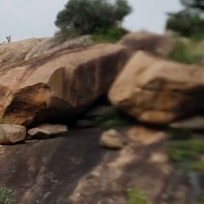 Liberal Pacers Islamabad DODDAIAH . E ಬೆಂಗಳೂರು post image