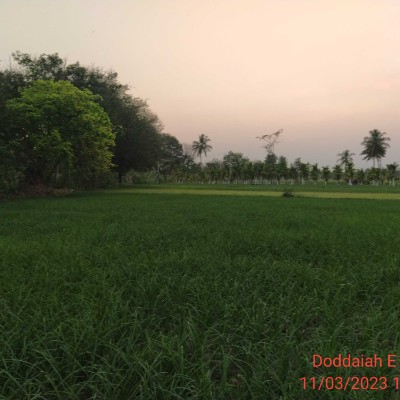 Perte de poids DODDAIAH . E ಬೆಂಗಳೂರು post image