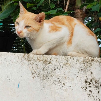 "БИТВА ГОРОДОВ"🏙️🌆🌇🌃 DODDAIAH . E ಬೆಂಗಳೂರು post image