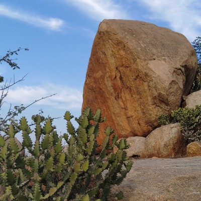 Leicester Shire & Rutland Pacers DODDAIAH . E ಬೆಂಗಳೂರು post image