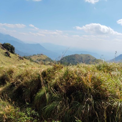 camina contigo 🥰🌻 DODDAIAH . E ಬೆಂಗಳೂರು post image