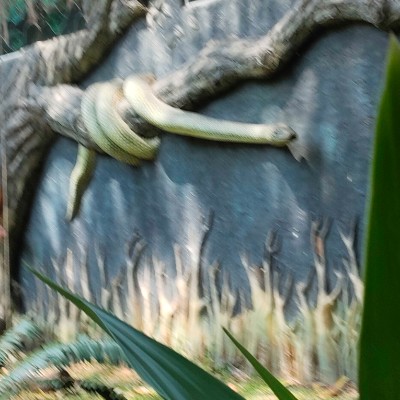 🍁🍁 DREAM TEAM 🍁🍁🍀🍀🍀 DODDAIAH . E ಬೆಂಗಳೂರು post image