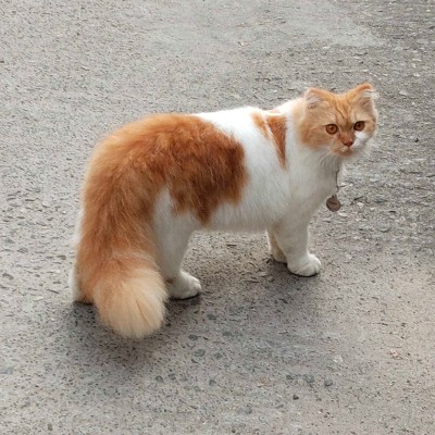 Movin’ Feet no time to stink DODDAIAH . E ಬೆಂಗಳೂರು post image