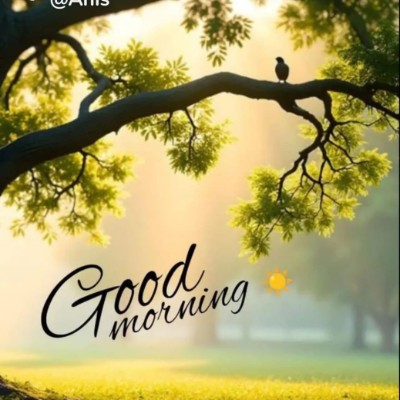 New Friends of Tom πΌπ DODDAIAH . E ಬΰ³ΰ²ΰ²ΰ²³ΰ³ΰ²°ΰ³ post image