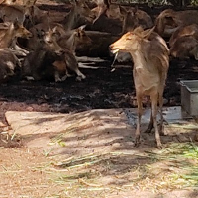 Roll Tide DODDAIAH . E ಬೆಂಗಳೂರು post image