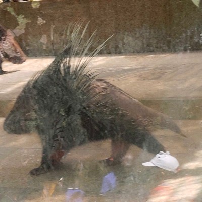 ⛰  Walking with Gandhi  ⛰ DODDAIAH . E ಬೆಂಗಳೂರು post image