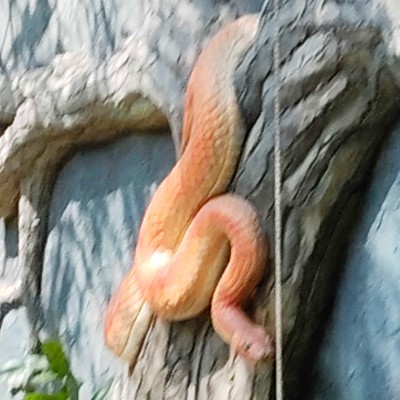 🍁🍁 DREAM TEAM 🍁🍁🍀🍀🍀 DODDAIAH . E ಬೆಂಗಳೂರು post image