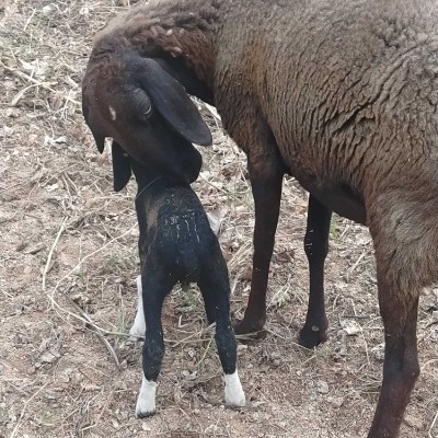 РОССИЯ🇷🇺🇷🇺🇷🇺 DODDAIAH . E ಬೆಂಗಳೂರು post image