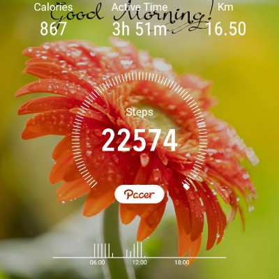 Active Fitness DODDAIAH . E ಬೆಂಗಳೂರು post image