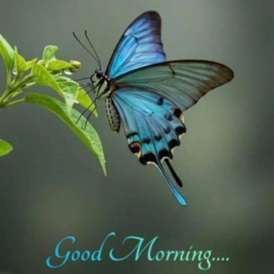 PROMASIDOR NIGERIA LTD DODDAIAH . E ಬೆಂಗಳೂರು post image