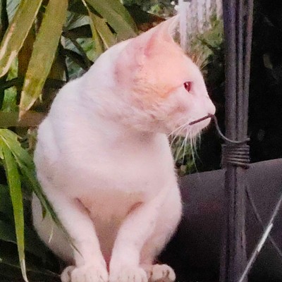 Movin’ Feet no time to stink DODDAIAH . E ಬೆಂಗಳೂರು post image