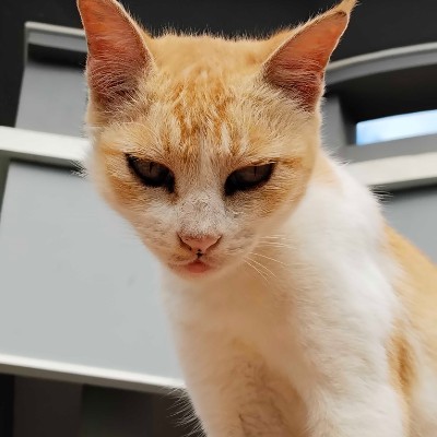 "БИТВА ГОРОДОВ"🏙️🌆🌇🌃 DODDAIAH . E ಬೆಂಗಳೂರು post image