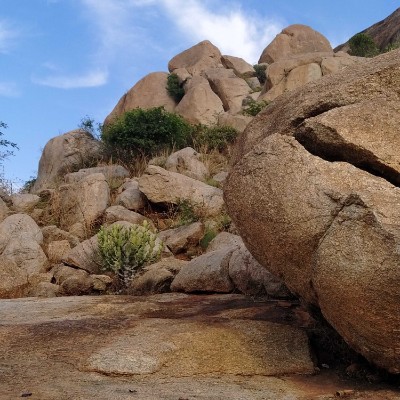 Leicester Shire & Rutland Pacers DODDAIAH . E ಬೆಂಗಳೂರು post image