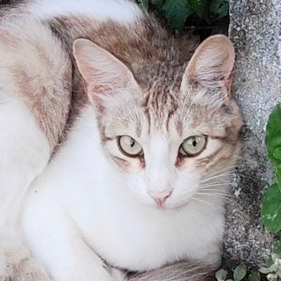 Doing it for the health DODDAIAH . E ಬೆಂಗಳೂರು post image