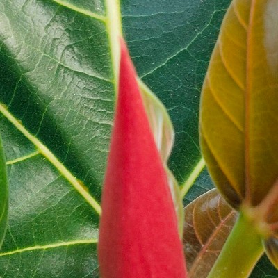 Doing it for the health DODDAIAH . E ಬೆಂಗಳೂರು post image