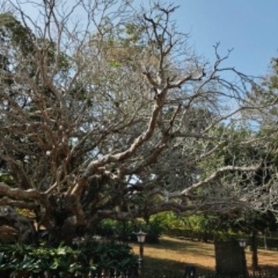 TO FIT TO QUIT DODDAIAH . E ಬೆಂಗಳೂರು post image