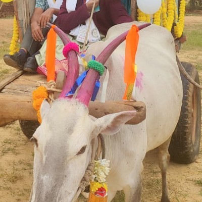 MARINES NYC💪🏼 DODDAIAH . E ಬೆಂಗಳೂರು post image