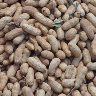 MARINES NYC💪🏼 DODDAIAH . E ಬೆಂಗಳೂರು post image