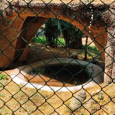 ⛰  Walking with Gandhi  ⛰ DODDAIAH . E ಬೆಂಗಳೂರು post image