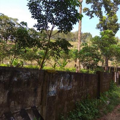 East Coast Beach Walkers ACCET DODDAIAH . E ಬೆಂಗಳೂರು post image