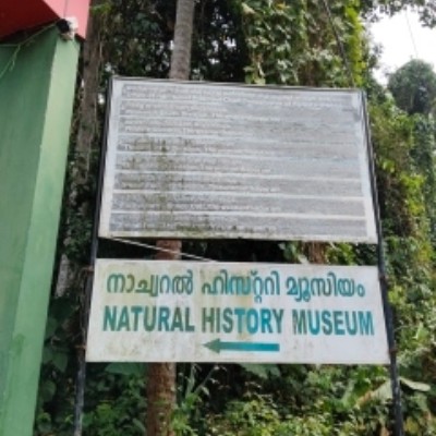 Active Fitness DODDAIAH . E ಬೆಂಗಳೂರು post image