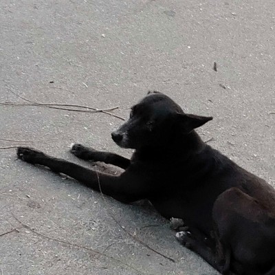 camina contigo 🥰🌻 DODDAIAH . E ಬೆಂಗಳೂರು post image