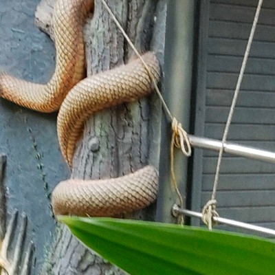 🍁🍁 DREAM TEAM 🍁🍁🍀🍀🍀 DODDAIAH . E ಬೆಂಗಳೂರು post image