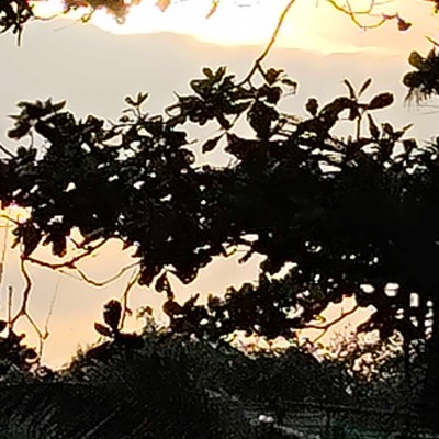 Off The Chain DODDAIAH . E ಬೆಂಗಳೂರು post image