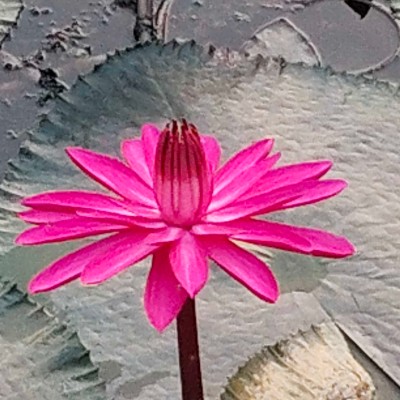 Doing it for the health DODDAIAH . E ಬೆಂಗಳೂರು post image