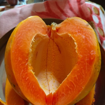 Family DODDAIAH . E ಬೆಂಗಳೂರು post image