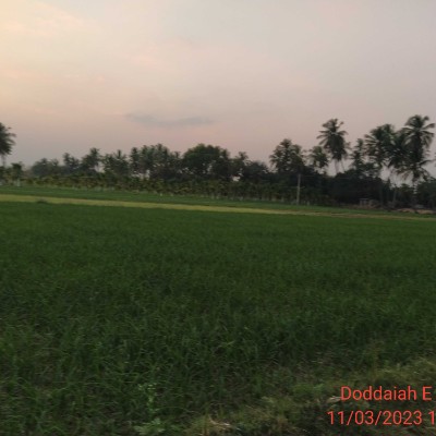 Perte de poids DODDAIAH . E ಬೆಂಗಳೂರು post image