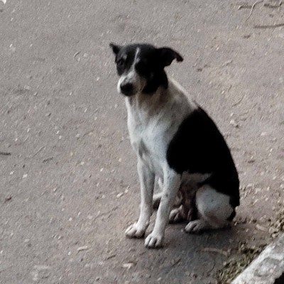 camina contigo 🥰🌻 DODDAIAH . E ಬೆಂಗಳೂರು post image